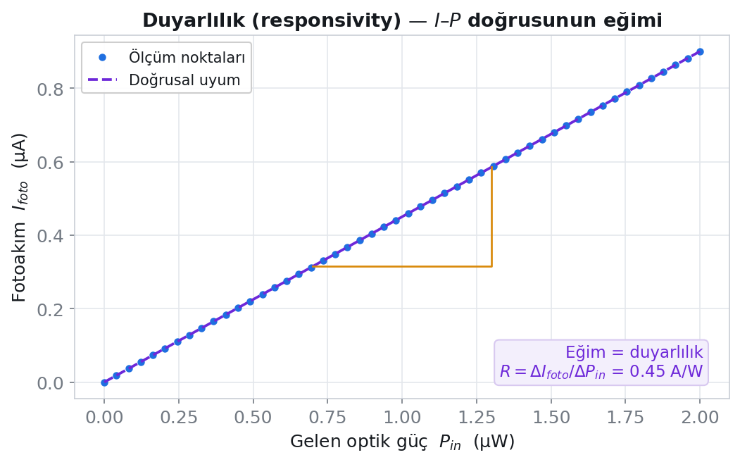 Net fotoakımın dedektöre düşen optik güce oranından duyarlılık ve dalga boyuna bağlı R lambda eğrisinin elde edilmesi